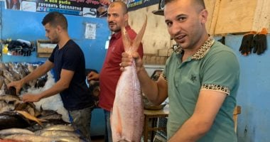 الناجل والدنيس والبربوني أغلى أنواع الأسماك بالغردقة.. والبلطي الأرخص.. فيديو
