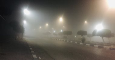 في الساعات الأولى من يوم الخميس.. طقس الإسكندرية يخالف التوقعات (لايف)