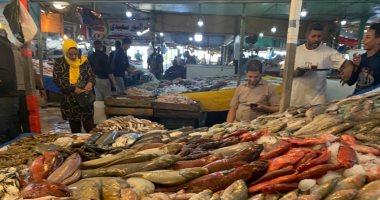 مفاجآت فى أسعار الأسماك بالغردقة.. البربونى الكيلو بجنيه والجندوفلى بـ50 قرشا.. والحريت بـ10 و3 كيلو بورى بـ100 جنيه لمدة يوم واحد.. وإقبال كبير على حلقة السمك ورواج فى حركة البيع والشراء.. فيديو وصور