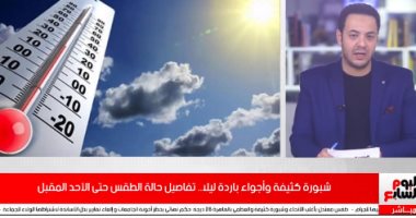 فيديو..انخفاض طفيف بالحرارة وطقس معتدل وشبورة كثيفة