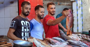 بورى وسبيط وجمبرى.. حركة البيع والشراء فى سوق السمك بالمنيب