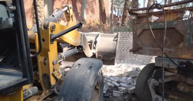 محافظة الجيزة تزيل 40 حالة تعدٍ على أراضٍ زراعية بالمراكز