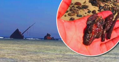 أهم معالم محمية نبق.. "ماريا شرودر" أشهر سفينة شحن تحول حطامها لمزار سياحى.. غرقت على شواطئ جنوب سيناء فى الخمسينيات.. يحتفظ الزوار بأجزاء منها كتذكار.. والغواصون يلتفون حولها لمشاهدة الشعاب المرجانية.. صور