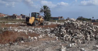 تنفيذ 19 قرار إزالة للتعديات على الآراضى الزراعية وسط الإسكندرية .. صور