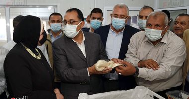 رئيس الوزراء يوجه بإعداد خطة متكاملة لإعادة تفعيل إنتاج الحرير من دودة القز