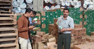 ضبط مصنع منظفات يستخدم مواد خام مجهولة ومخزنين مواد غذائية فاسدة بالبحيرة