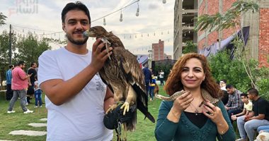 يصل سعرها 7 ملايين جنيه.. عرض مهارى لأحد هواة تربية الطيور الجارحة والثعابين بالمنصورة