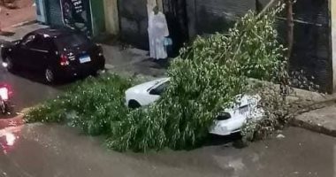 محمد هنيدى يدعو لأهل أسوان بعد السيول الغزيرة: عاشوا ليلة صعبة