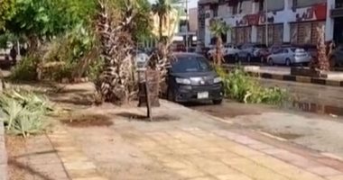 سقوط للأشجار وتراكمات مياه.. توابع حالة الطقس السيئ فى أسوان.. لايف
