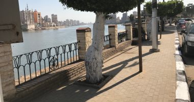 طقس الغربية الآن .. الشمس ساطعة والطقس معتدل.. لايف وصور