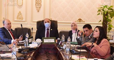  مرثا محروس تستعرض فلسفة وأهداف مشروع قانون اللجنة العليا للإرشاد أمام "تضامن النواب" 