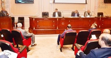 إسكان النواب: "حياة كريمة" مبادرة قومية غيرت وجه الحياة فى القرى والريف 