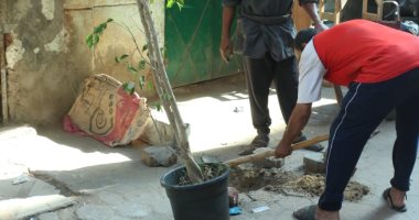 "هنشجرها" شباب شبرا الخيمة يزرعون الشوارع لتجميلها.. صور