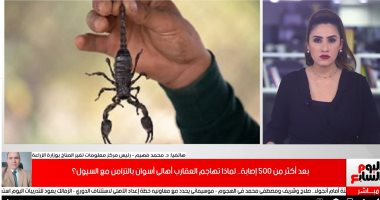 رئيس مركز معلومات تغير المناخ: الحديث عن ظهور العقارب بأسوان يرجع لسقوط الأمطار