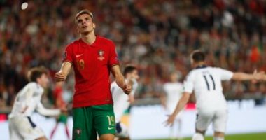 ملخص وأهداف مباراة البرتغال ضد صربيا في تصفيات كأس العالم