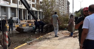 لجنة فنية بأسوان تبدأ اليوم حصر المنازل المتضررة من الأمطار