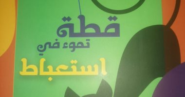 قطة تموء فى استعباط.. مجموعة قصصية عن سلسلة كتابات جديدة بهيئة الكتاب