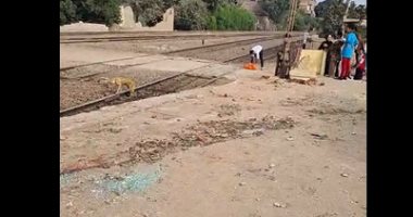 تفاصيل حادث اصطدام قطار المناشى بسيارة نصف نقل بالقناطر.. فيديو