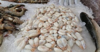 "بيض السبيط".. أجمد أكلات الطاقة فى سوق الأسماك ببورسعيد.. لايف وصور