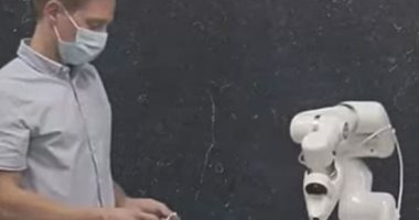 كيف طور العلماء "روبوتات حية" تتكاثر وتنجب أطفالا؟ 