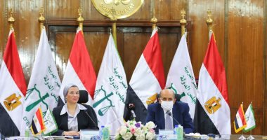 ياسمين فؤاد: البيئة أصبحت محور اهتمام مؤسسات الدولة بما فيها الجهات القضائية