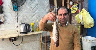 مش كل المملح فسيخ.. هنا مصنع الطعم الأصيل من 80 سنة بالغربية.. لايف وصور