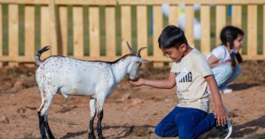 موسم الرياض "تخيل أكثر".. منطقة سفارى تضم 700 حيوان