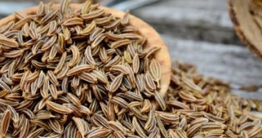 تخلصك من وزنك الزائد وتعالج عسر الهضم.. تعرف على فوائد الكراوية