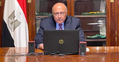 سامح شكرى يؤكد حرص مصر على دفع مجالات التعاون مع باكستان على كافة الأصعدة