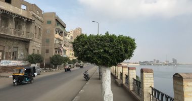 طقس الغربية الآن.. الشمس ساطعة ونشاط خفيف للرياح.. لايف وصور