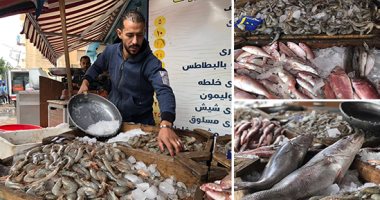 محلات الأسماك قبلة عاشقى البحريات.. البورى بـ 35 والشبار بـ 16 والمرجان بـ 60 والسردين بـ 30 جنيها.. جمبرى القزاز يبدأ من 200 ويصل إلى 600 جنيه.. والبائعون: الأسماك الطازجة تعرف من تماسك قوامها وخياشيمها