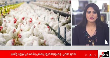 هل هو الخطر الجديد بعد كورونا؟.. قلق من انتشار أنفلونزا الطيور حول العالم.. "فيديو"