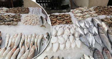 حكاية "بيض السوبيط" من البحر للمائدة.. اشتريها من "حد ثقة" لأنك مش هتفرق بين البلدى والمجمد.. يُعد كافيارا طبيعيا من البحر.. بائع سمك: موسمها بدأ ومتوسط سعرها 150 جنيها.. ونستخرجها من بطن السيبيا.. صور