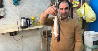مش كل المملح فسيخ.. هنا مصنع الطعم الأصيل من 80 سنة.. فيديو