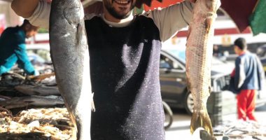 البوري بـ30 جنيها والمرجان بـ50 والدنيس بـ100.. جولة داخل سوق السمك بالمنصورة