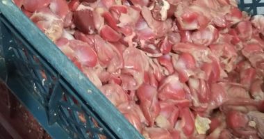 ضبط كميات من الدواجن منتهية الصلاحية خلال حملة تفتيشية فى دمياط 