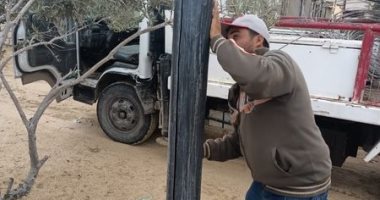 مجلس مدينة الشيخ زويد يبطن أعمدة الكهرباء بطبقات عازلة لمنع حدوث صعق نتيجة الأمطار