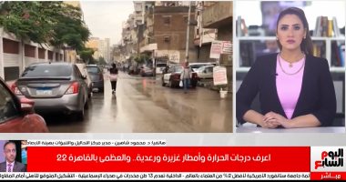 الأرصاد: احذروا كابلات الكهرباء والشبورة خلال هذه الفترة لتجنب الحوادث..فيديو