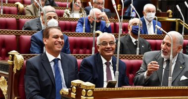الهيئات البرلمانية بالشيوخ: قانون حقوق المسنين ترجمة لاهتمام الدولة بهذه الفئة