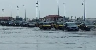 طقس المحافظات اليوم.. أمطار غزيرة بالإسكندرية وتوقف المرور على الكورنيش والمحافظ يقرر تعطيل الدراسة.. الأمطار تهطل بالبحيرة وإغلاق بوغاز رشيد وتوقف الملاحة.. واعتدال الجو بالمنوفية والإسماعيلية.. فيديو