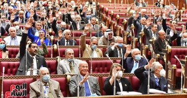 من هو المسن الأولى بالرعاية فى قانون حقوق المسنين؟ .. مجلس الشيوخ يجيب  