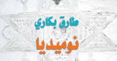 روايات الجوائز.. طارق بكارى يطرح قضية ضياع الهوية فى "نوميديا"
