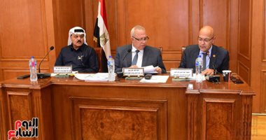 لجنة "إسكان الشيوخ": حياة كريمة مبادرة تنموية شاملة وغير مسبوقة