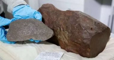 كان فاكره ذهب طلع "نيزك".. رجل يعثر على صخرة نادرة الوجود في العالم
