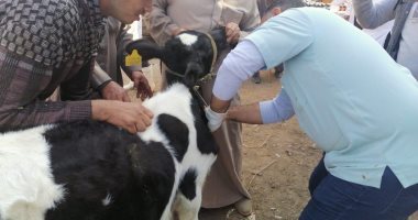 فحص 246 رأس ماشية و 4320 طائر فى قافلة بيطرية مجانية بحياة كريمة بزفتى .. صور