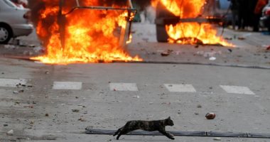 نوفمبر فى صور.. لقطات حول العالم لأحداث وفعاليات وظواهر طبيعية