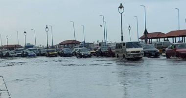 تفاصيل ظهور "الودق" خلال "نوة المكنسة" بمحافظة الإسكندرية.. فيديو