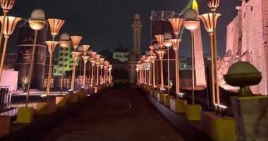 سفير الصومال يشيد بالحفل الأسطورى لافتتاح طريق الكباش بالأقصر