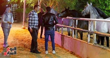 هنا "الحسينية" أساس تربية الخيول العربية الأصيلة بالشرقية.. "مربى" يسرد مواقف "إنسانية" مع الفرسة "سلطانة" برفضها تناول الطعام حزنا على سقوطه أرضا.. عطوان: متوسط عمر الخيل من 20 لـ25 عاما وأعامله مثل أولادى