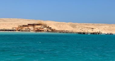 شمس وبحر ودلافين.. الجفتون أجمل جزر البحر الأحمر وأكثرها طلبا من السياح.. لايف